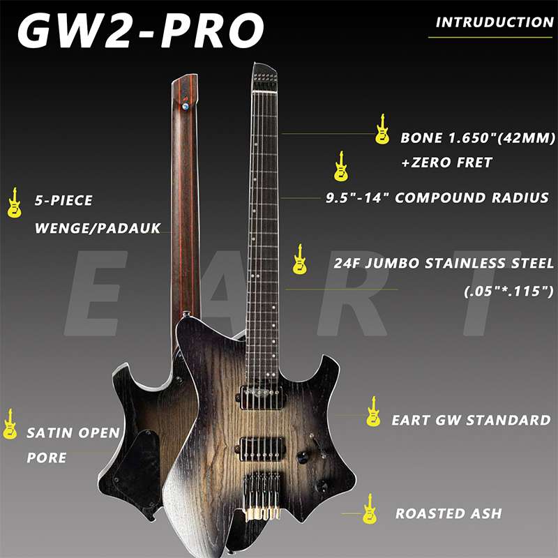 EART Guitars GW2-PRO guitare é - Electric Guitar Beginner avis et prix