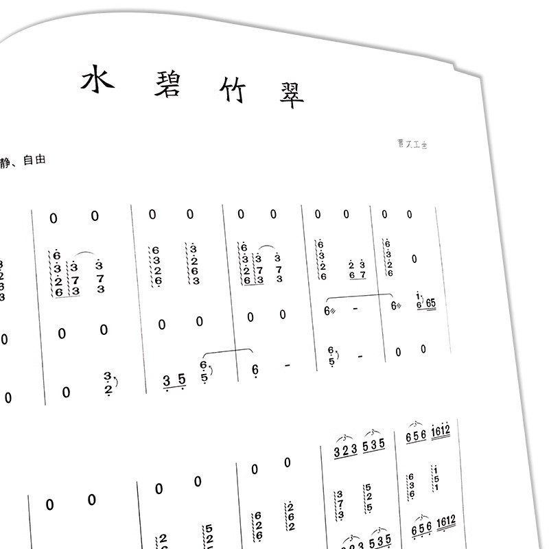 Livre de musique chinois Guzhe - Musical Instrument Groups avis et prix