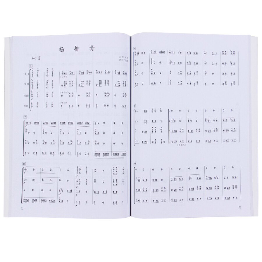 Livre de musique chinois Guzhe - Musical Instrument Groups avis et prix